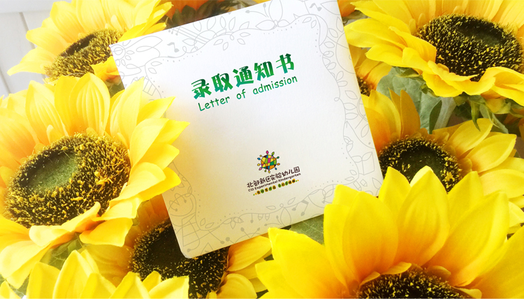 北部新区实验幼儿园黄色录取通知书置于葵花花丛，葵花森林趣味通知书设计