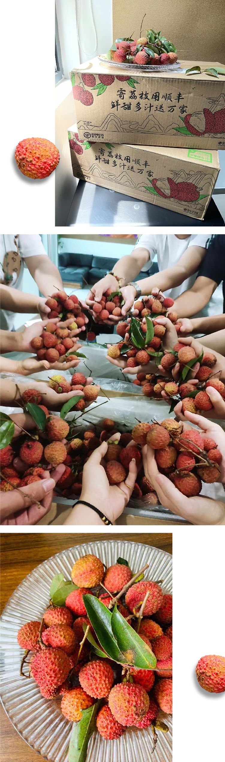 学校反馈赠予锦连环的新鲜荔枝照片拼图
