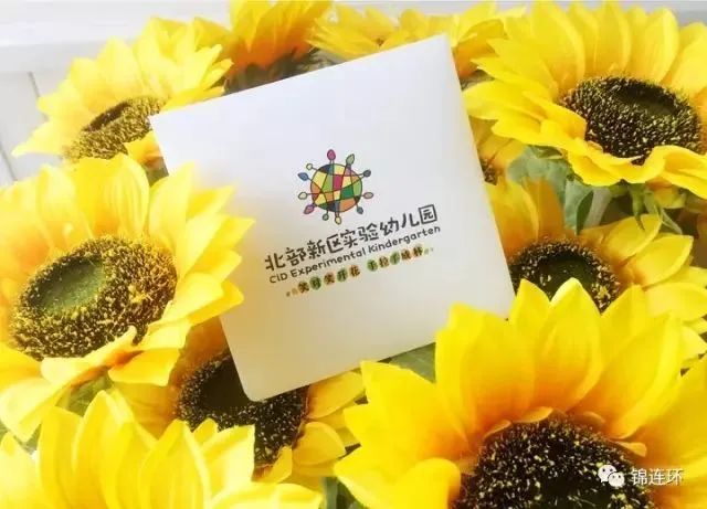 北部新区实验幼儿园品牌卡片置于向日葵花丛中，展现葵花主题幼儿园文化设计