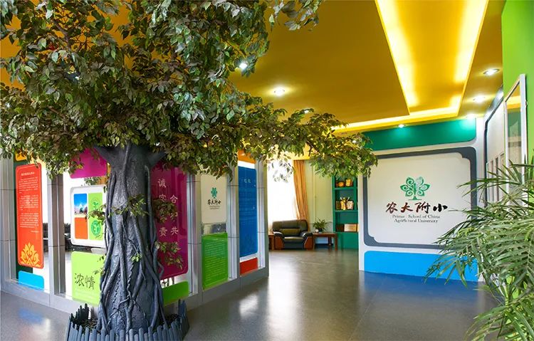 农大附小校史馆，造型树与彩色互动展陈搭配绿色校徽