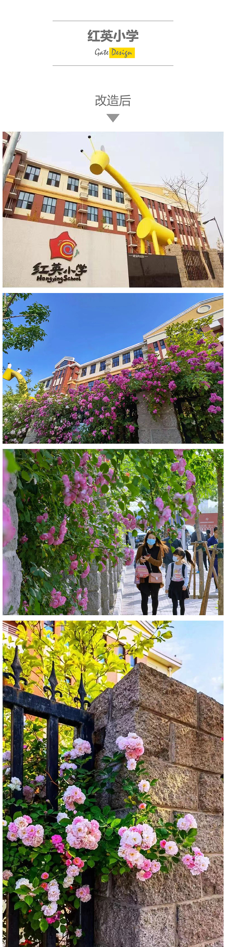 红英小学校门改造后实景，黄色长颈鹿造型校门与花墙校园环境建设