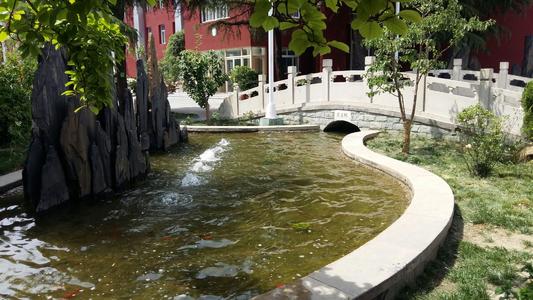 定慧里小学假山水池与白色栏杆小桥校园景观实景，锦连环校园环境建设