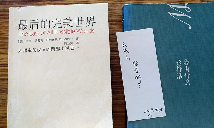 阿那亚书籍展示最后的完美世界，锦连环文化之旅美在静谧