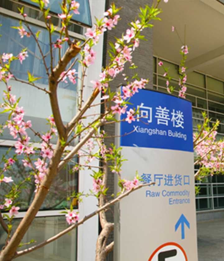 北京新英才学校户外楼栋导视实景,向善楼立柱标识搭配桃花的校园环境