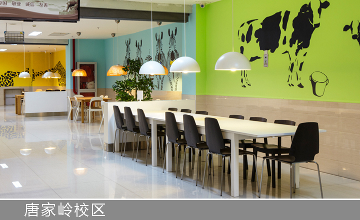 红英小学唐家岭校区餐厅绿色奶牛主题墙绘与长桌,阳光就餐空间环境建设