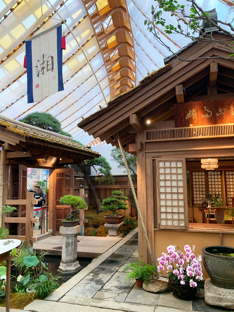 世园会日式风格展园木构庭院,盆景与兰花点缀,园艺造景精致雅致