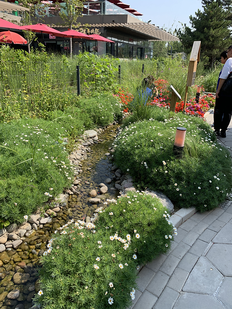 世园会主题花园景观,繁花绿植夹道,蜿蜒小径引人入胜,游客漫步其间