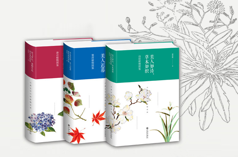 三册植物主题图书封面设计,蓝红绿配以花卉博物插画,呼应影响世界的中国植物