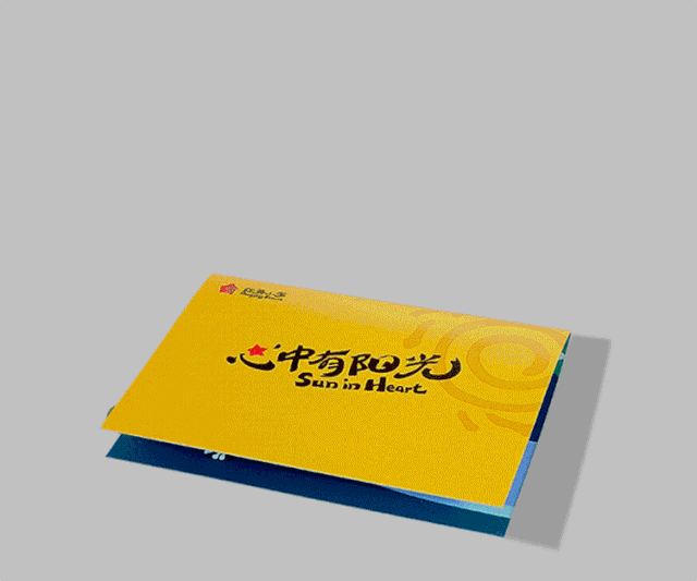 阳光岛主题立体入学通知书在灰色背景上展开,呈现海豚等卡通造型