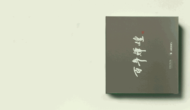 中央美院百年辉煌纪念画册灰绿封面，简约书籍装帧设计，校庆出版物