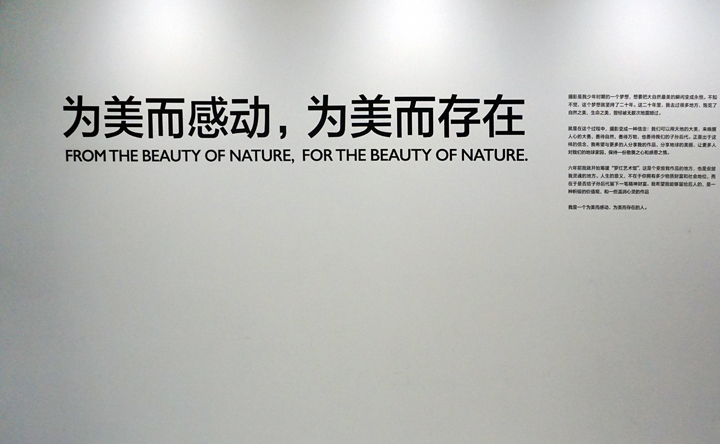 罗红摄影艺术馆墙面标语为美而感动为美而存在,诠释对美的信仰