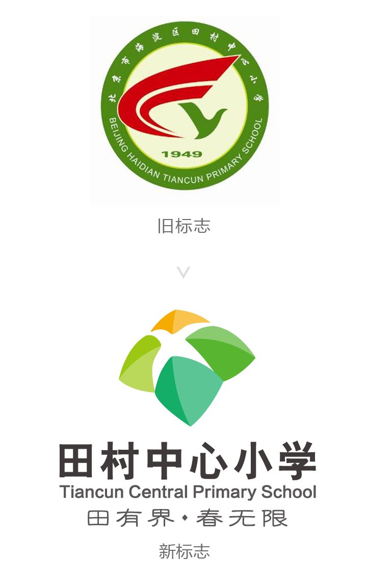 田村中心小学校徽标志设计，圆形飞鸟绿叶图形与中英文校名的标志组合