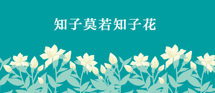 知子花品牌主视觉，青绿色背景知子莫若知子花标语与白色栀子花图案，锦连环教育品牌设计