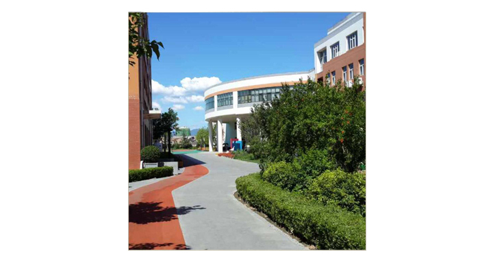 绿树环绕的现代校园教学楼与道路实景，整洁优美的校园环境建设展现良好学校文化氛围