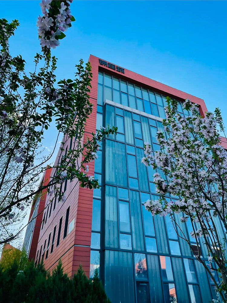 锦连环教育品牌设计行业标杆，专注学校文化建设21年，为最美教育持续赋能